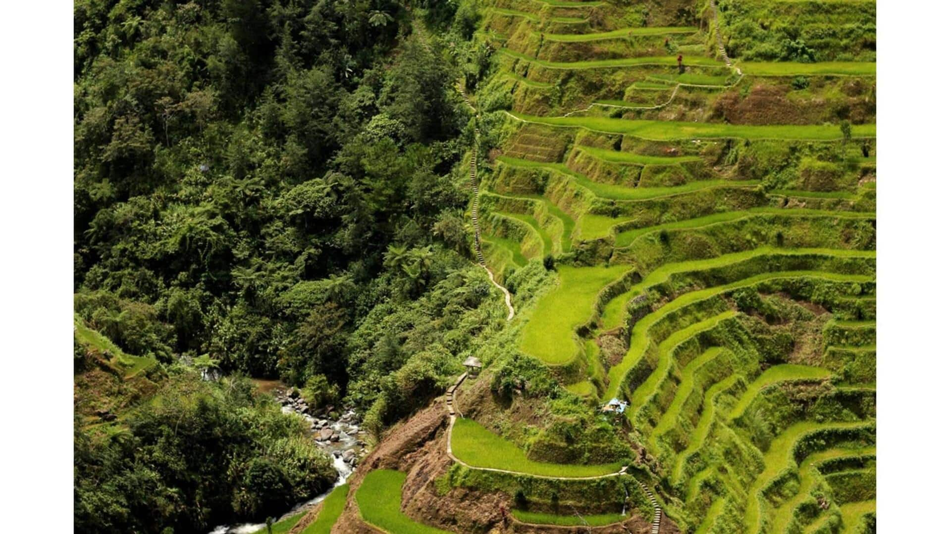 Descubra As Maravilhas Dos Terraços De Arroz De Banaue, Filipinas