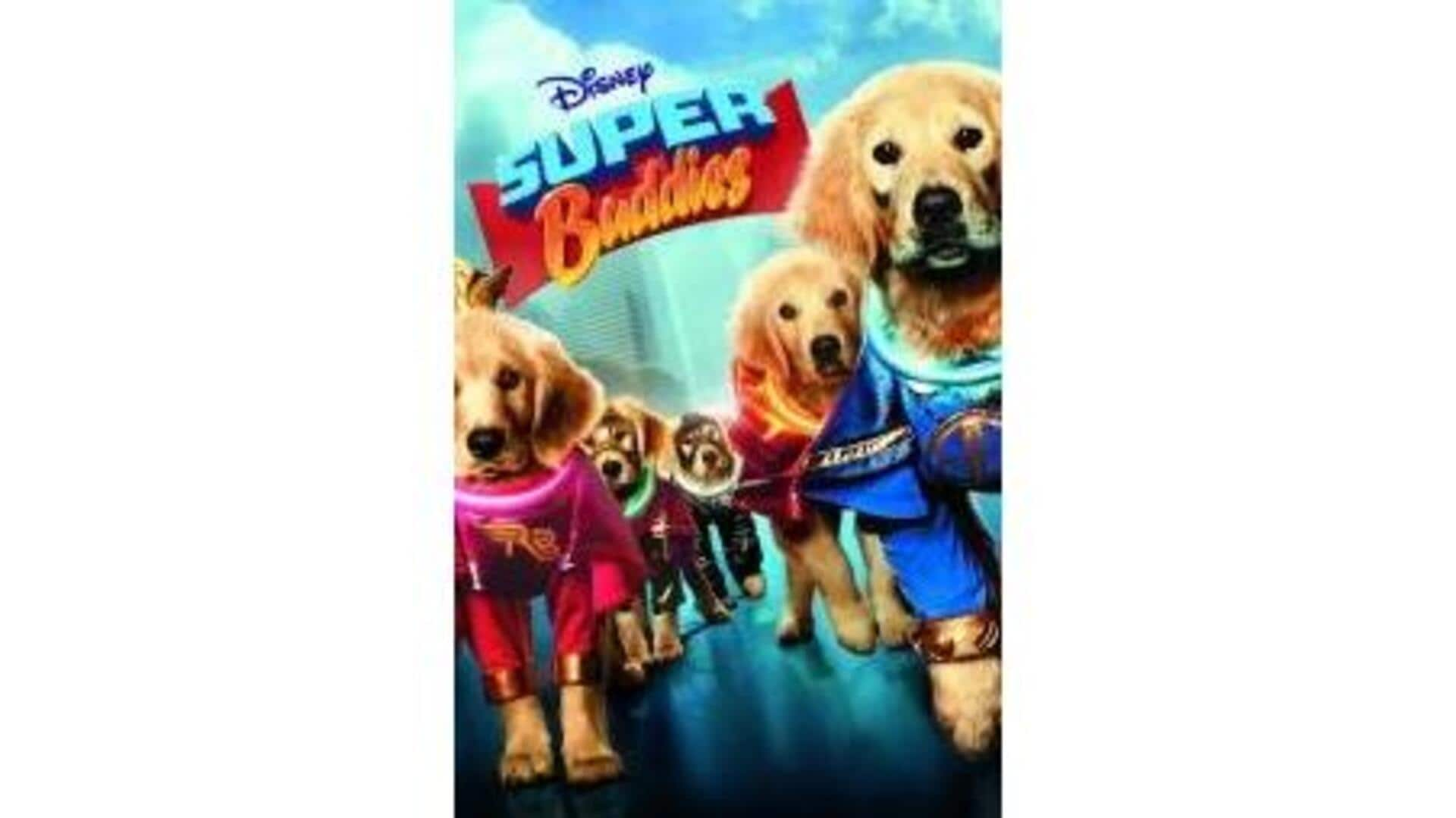 Filmes De Animais Companheiros Para Adolescentes