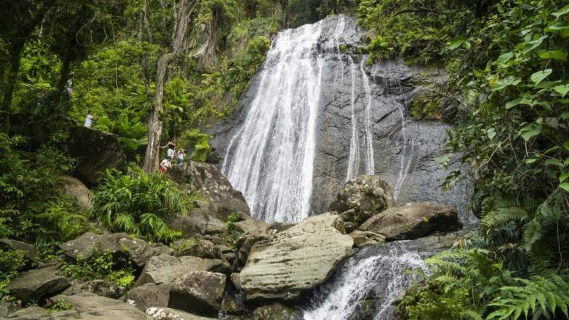 Descubra As Maravilhas Da Floresta Nacional El Yunque, Porto Rico