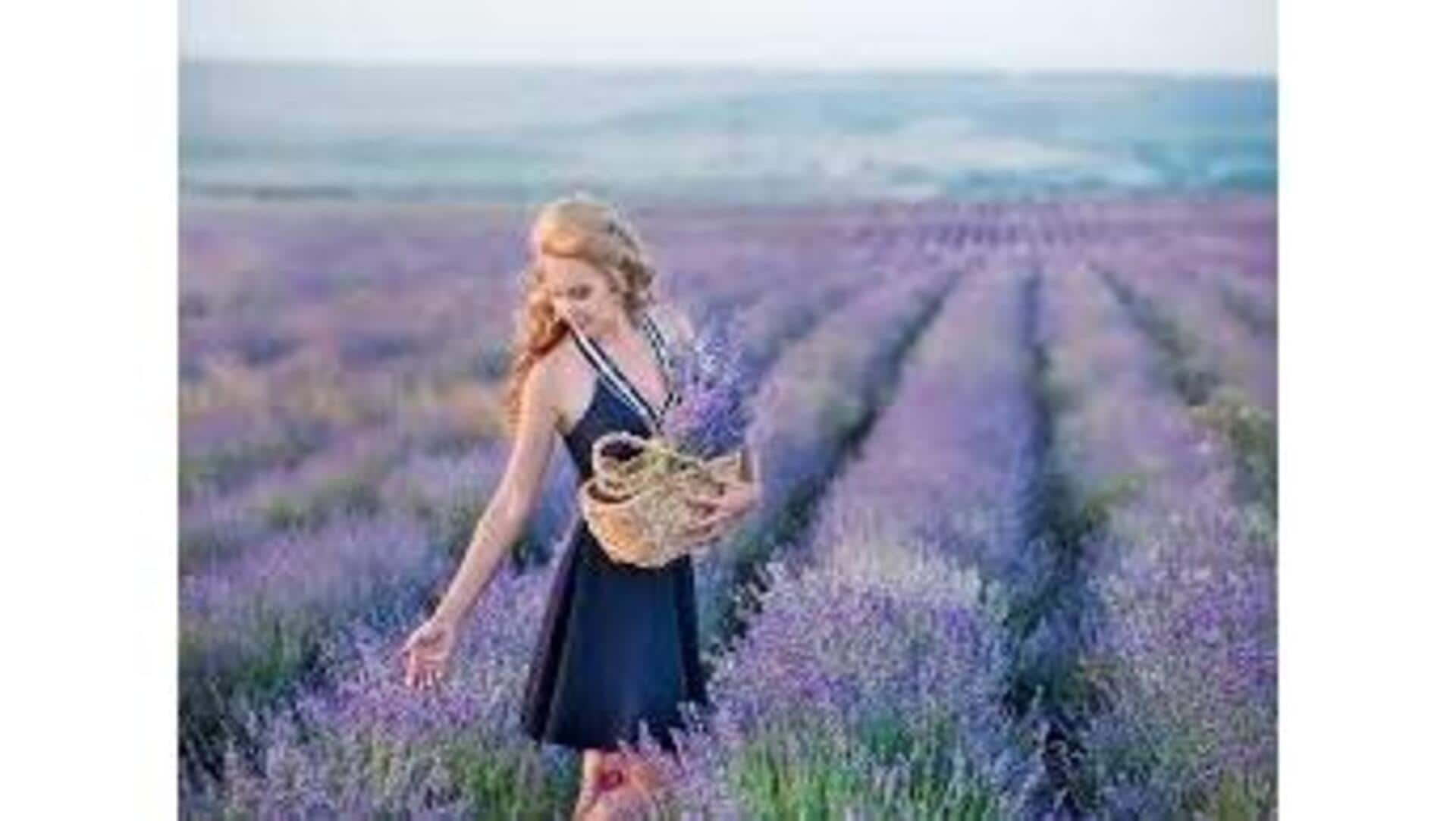 Estilo Para Visitas A Fazendas De Lavanda Na Primavera Portuguesa