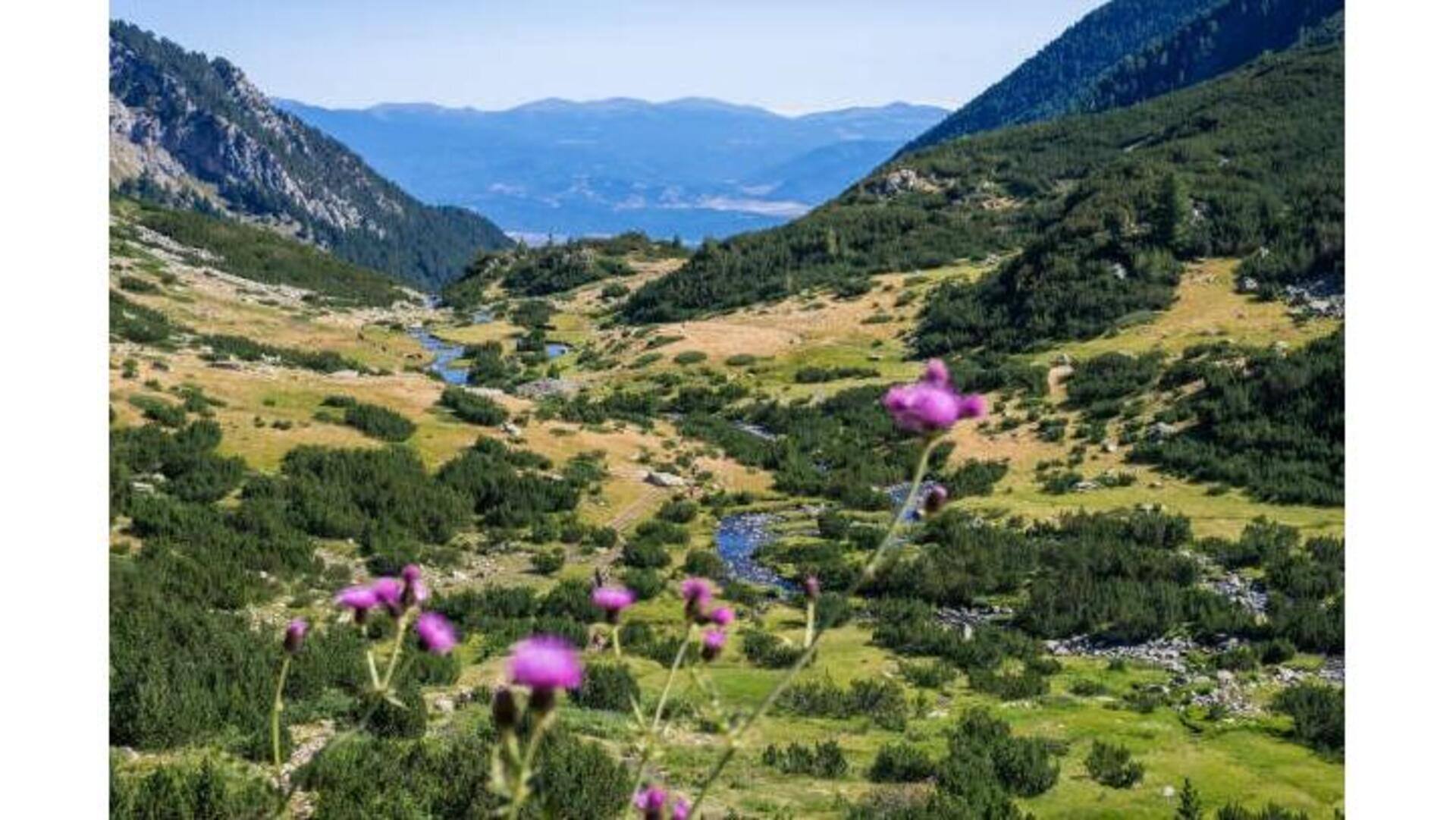 Explore A Beleza Natural Do Parque Nacional De Pirin, Bulgária