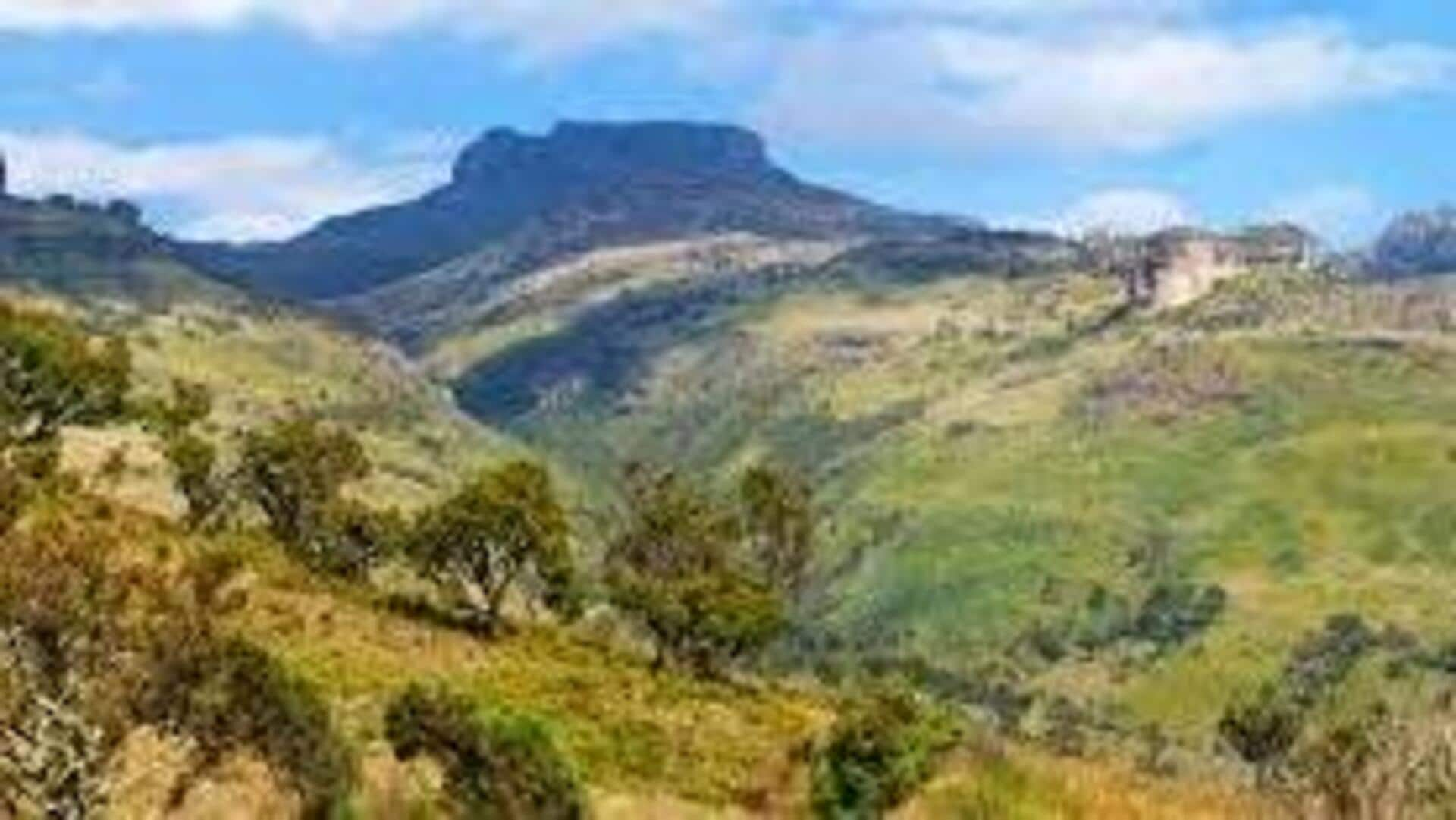 Explore Mount Elgon: A Natural Wonder In Uganda/Kenya