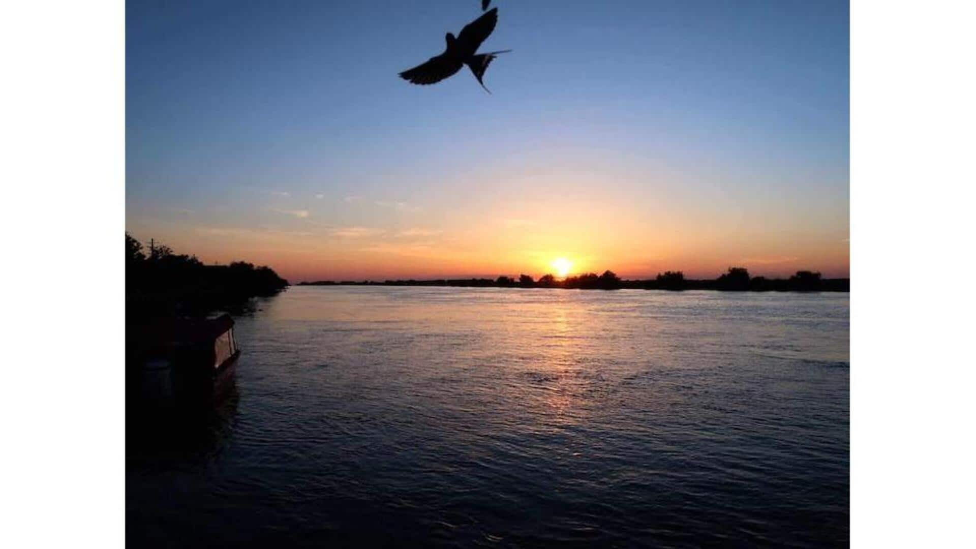 Descubra A Beleza Do Delta Do Danúbio, Romênia