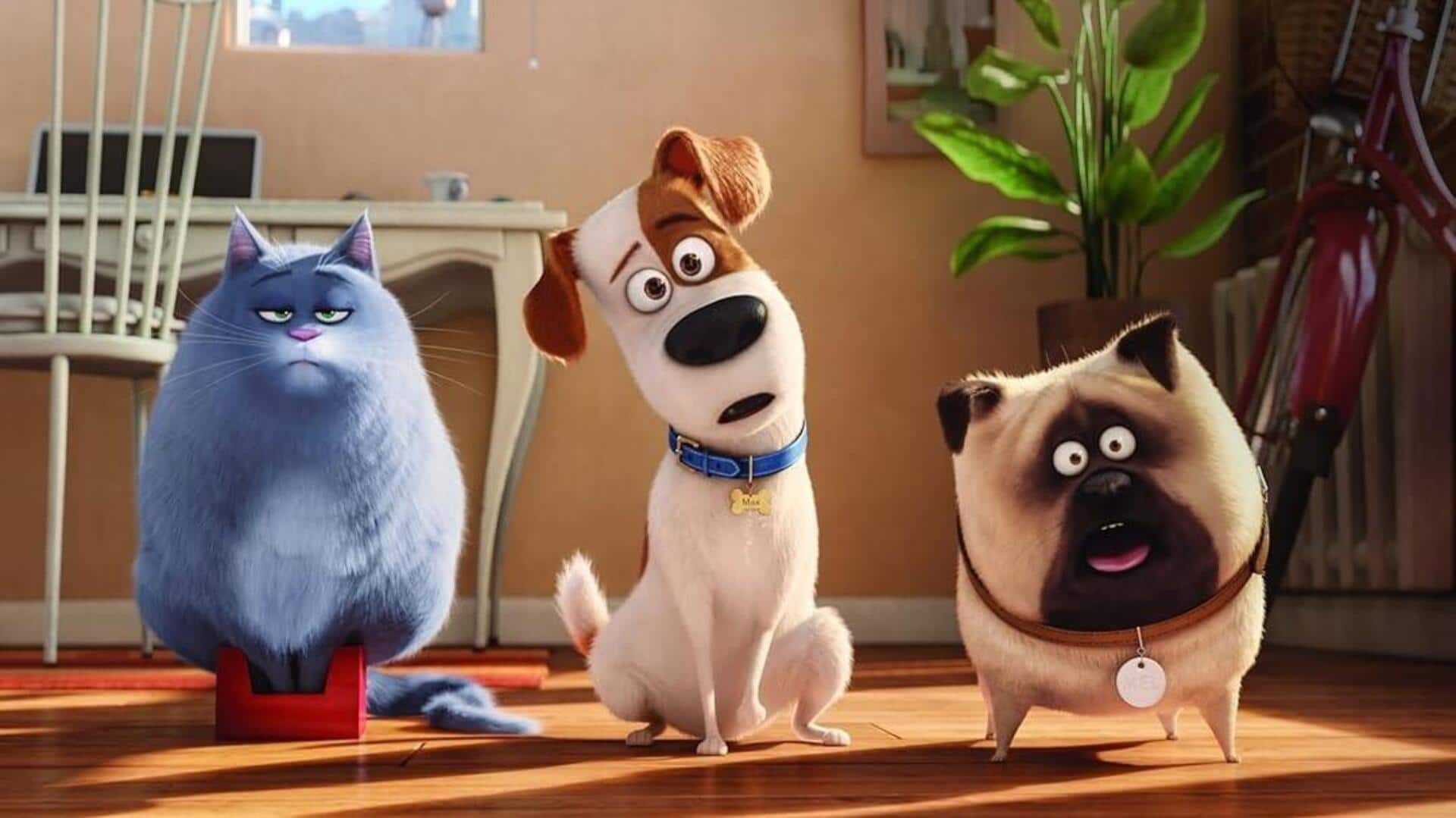 5 Séries Se Você Ama 'Pets - A Vida Secreta  Bichos'