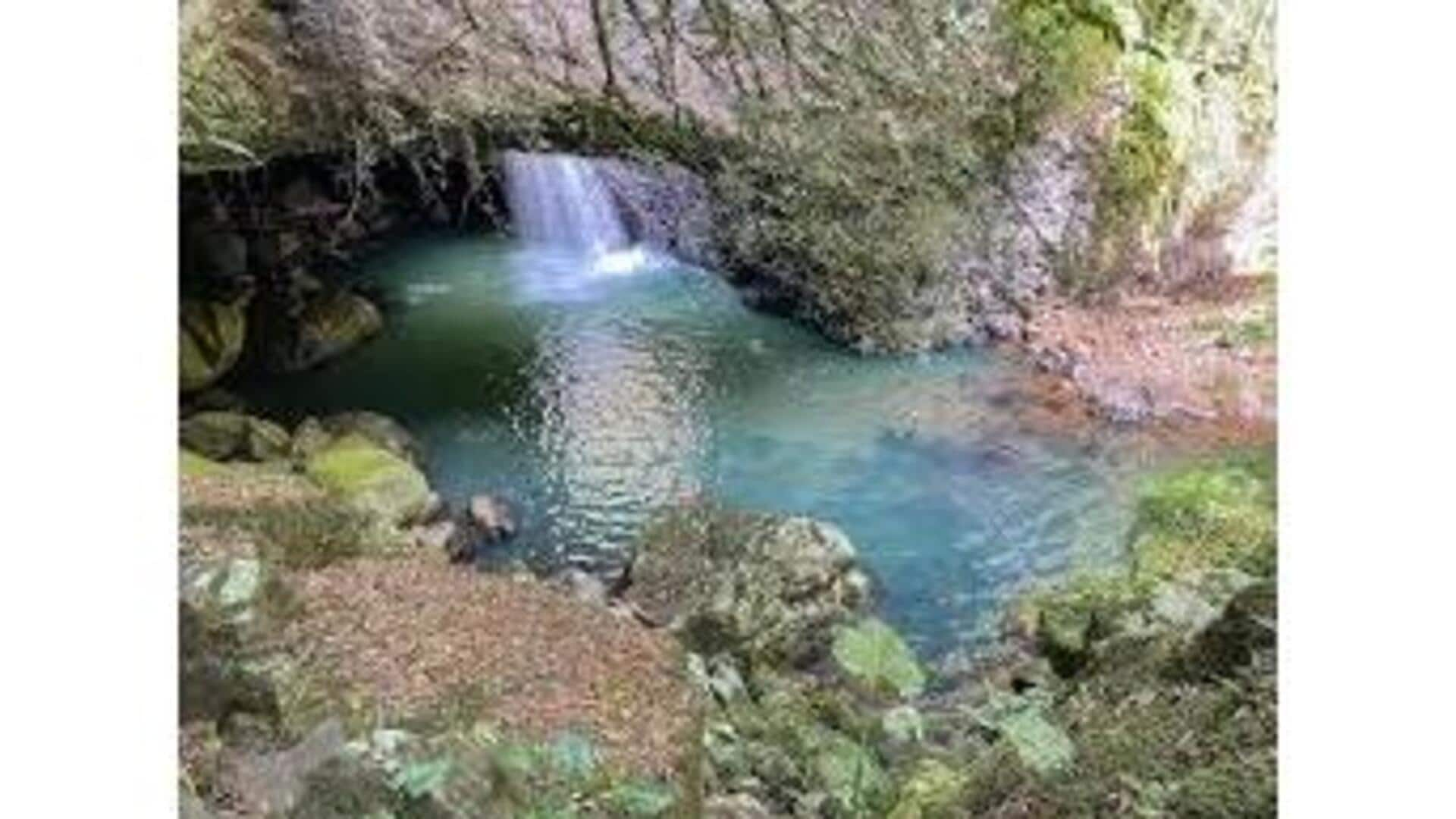 Descubra A Beleza De Springbrook National Park, Austrália