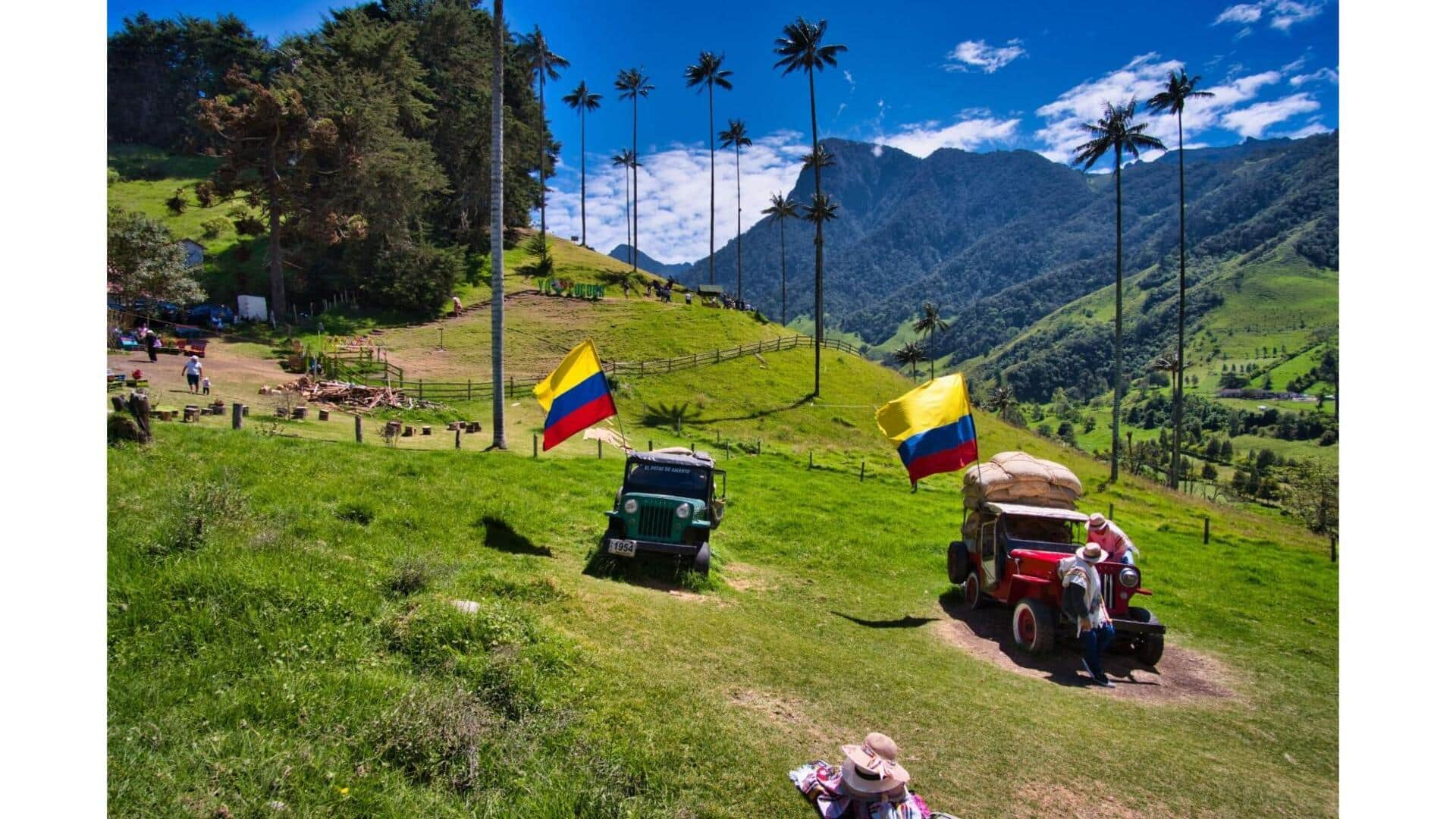 Descubra O Encanto Do Valle De Cocora, Colômbia