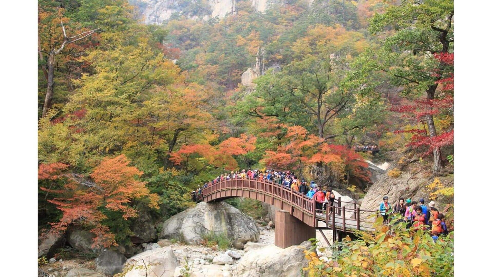 Descubra A Beleza Do Parque Nacional Seoraksan, Coreia Do Sul