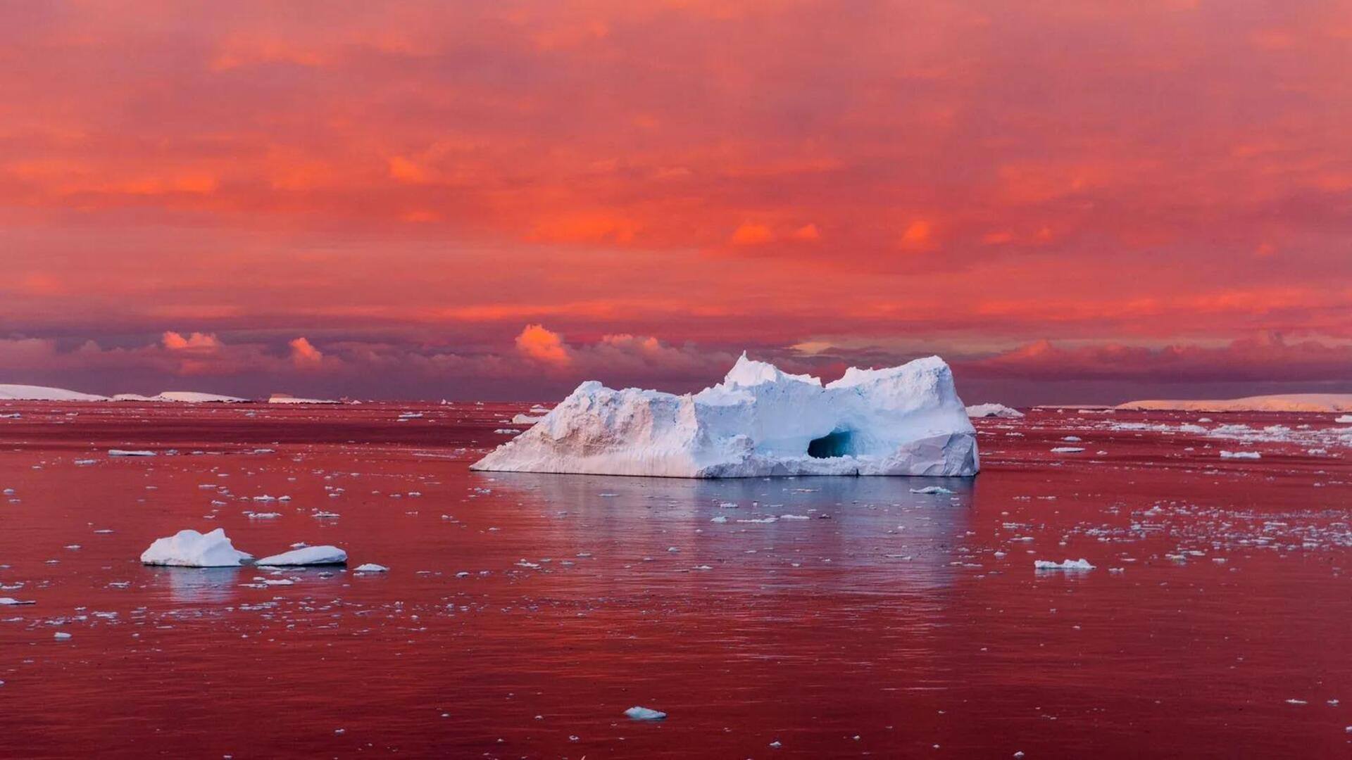 Explore A Imensidão Da Plataforma De Gelo Larsen Na Antártica