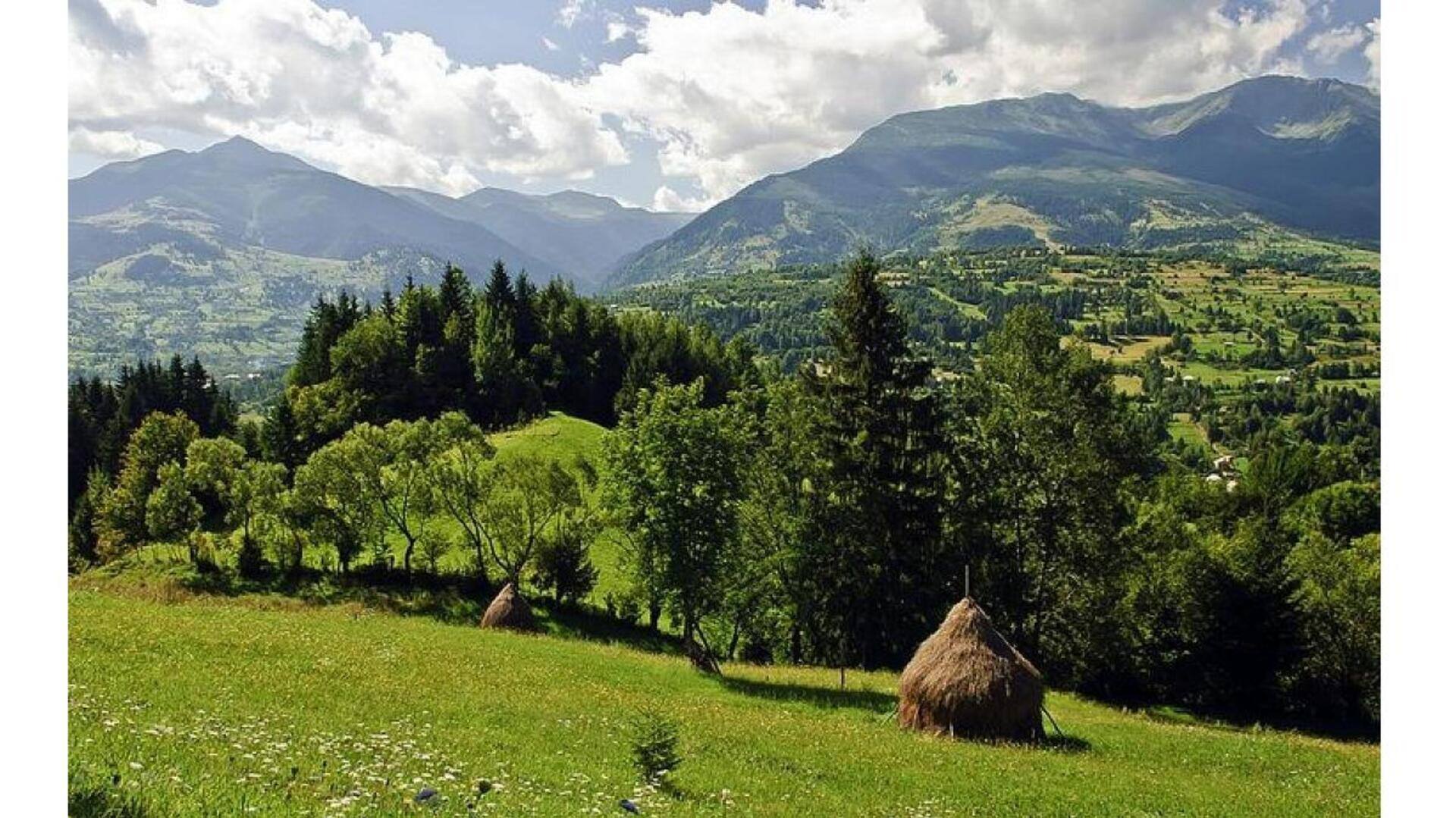 Descubra A Beleza Dos Montes Apuseni, Romênia