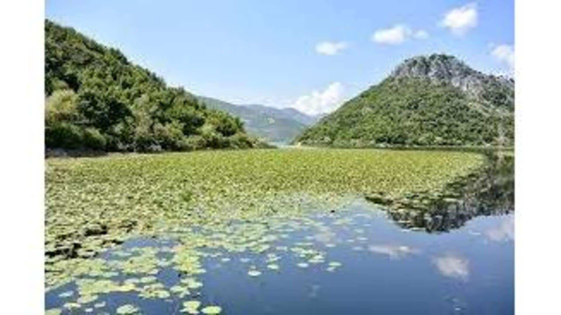 Descubra A Beleza Natural Do Lago Skadar, Montenegro