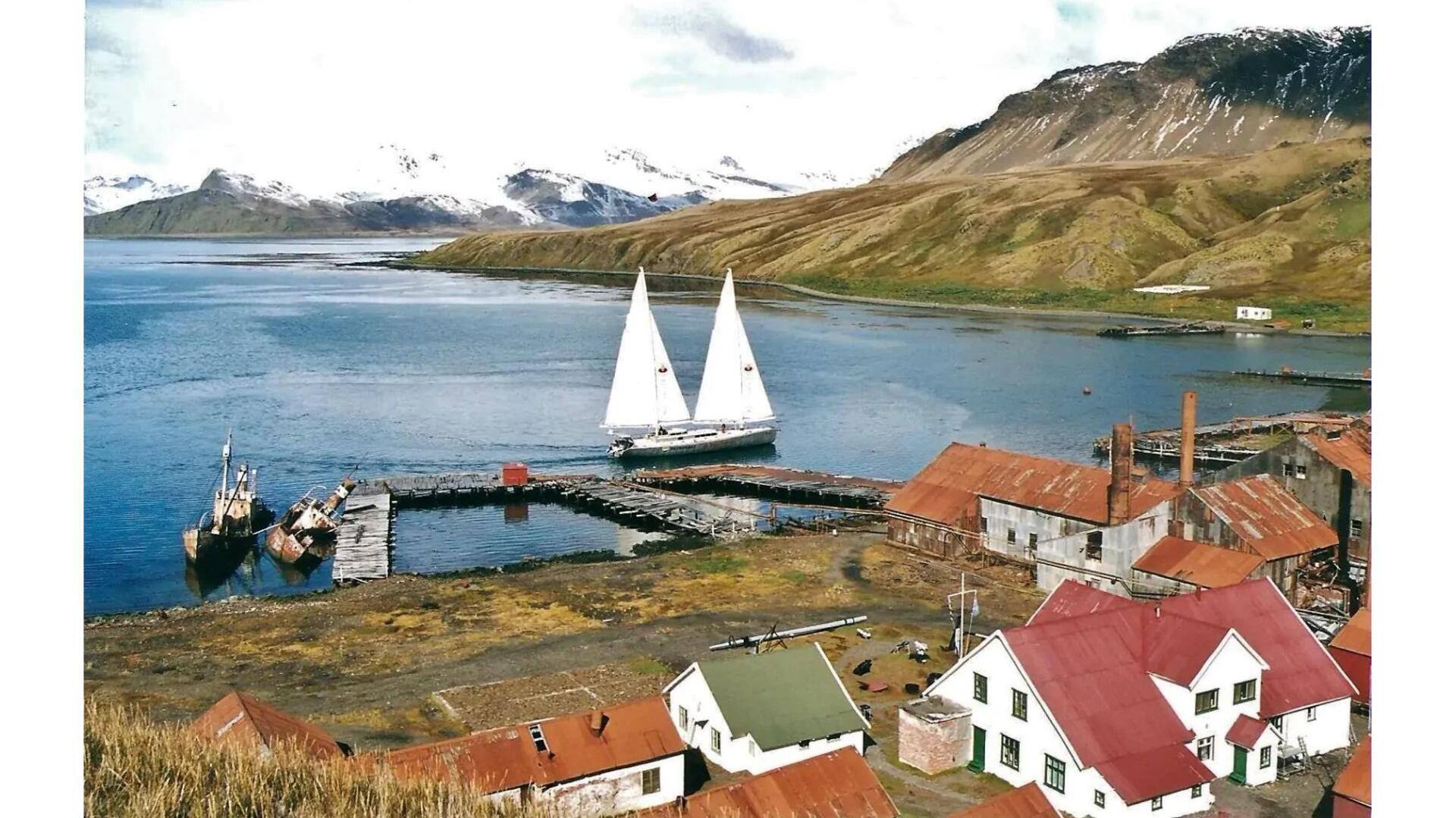 Descubra A Beleza Selvagem Da Ilha Geórgia Do Sul