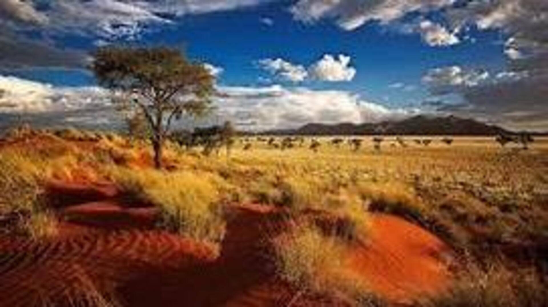 Descubra A Beleza Do Deserto De Kalahari Em Botswana