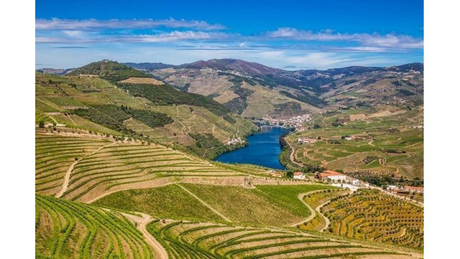 Descubra Trás-Os-Montes: A Beleza Oculta De Portugal