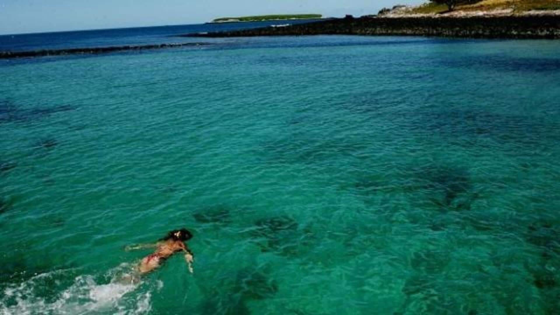 Descubra As Maravilhas Do Arquipélago De Abrolhos, Brasil