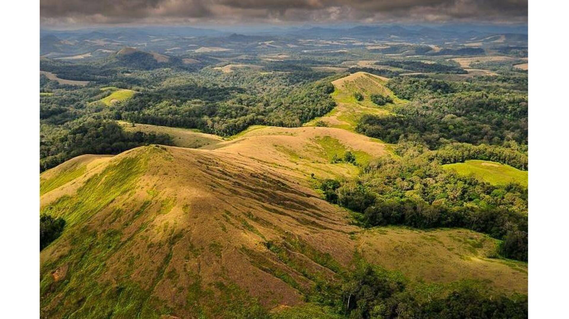 Descubra A Natureza Selvagem Do Parque Nacional Lopé, Gabão