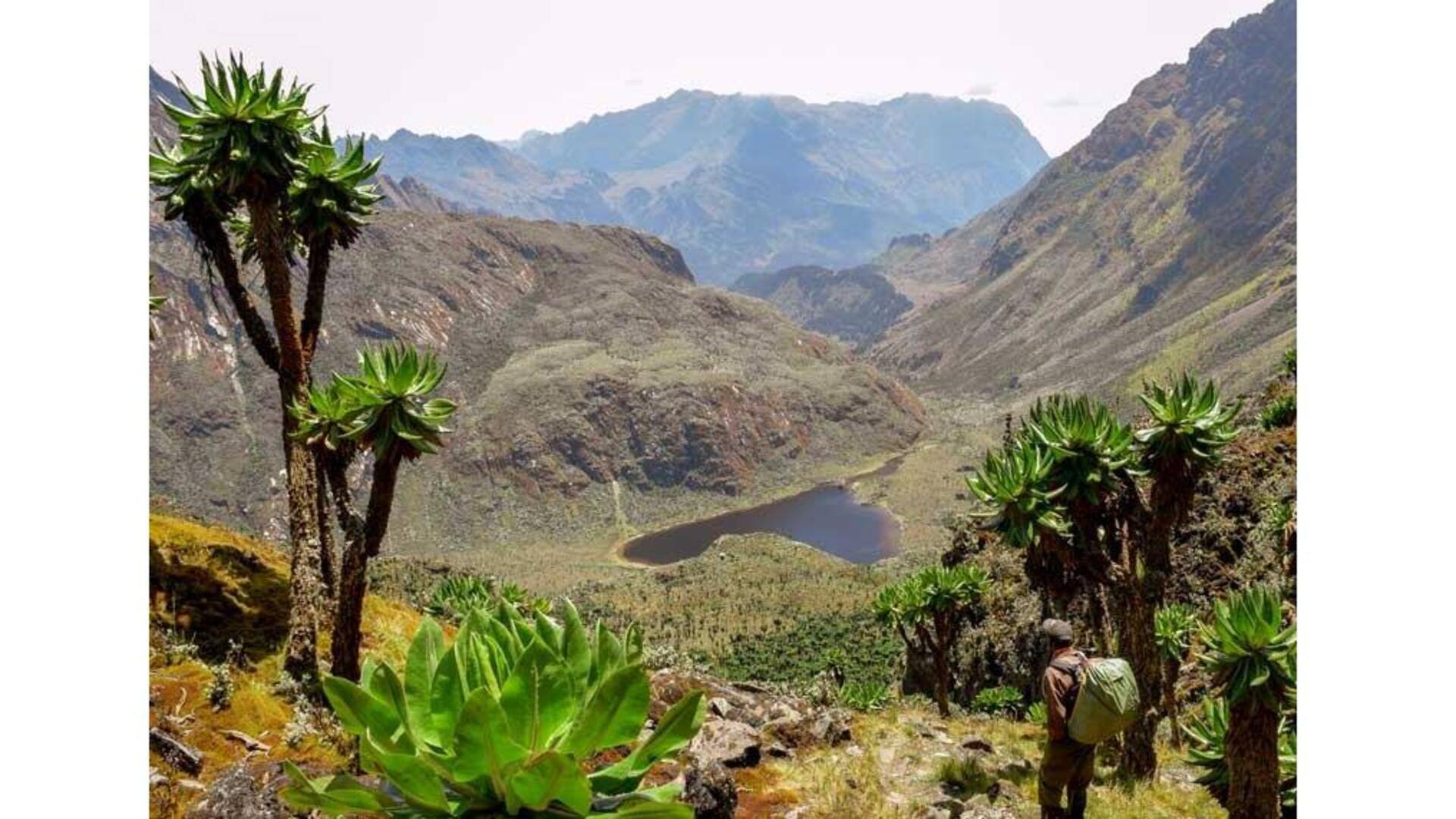 Descubra As Maravilhas Das Montanhas Rwenzori, Uganda