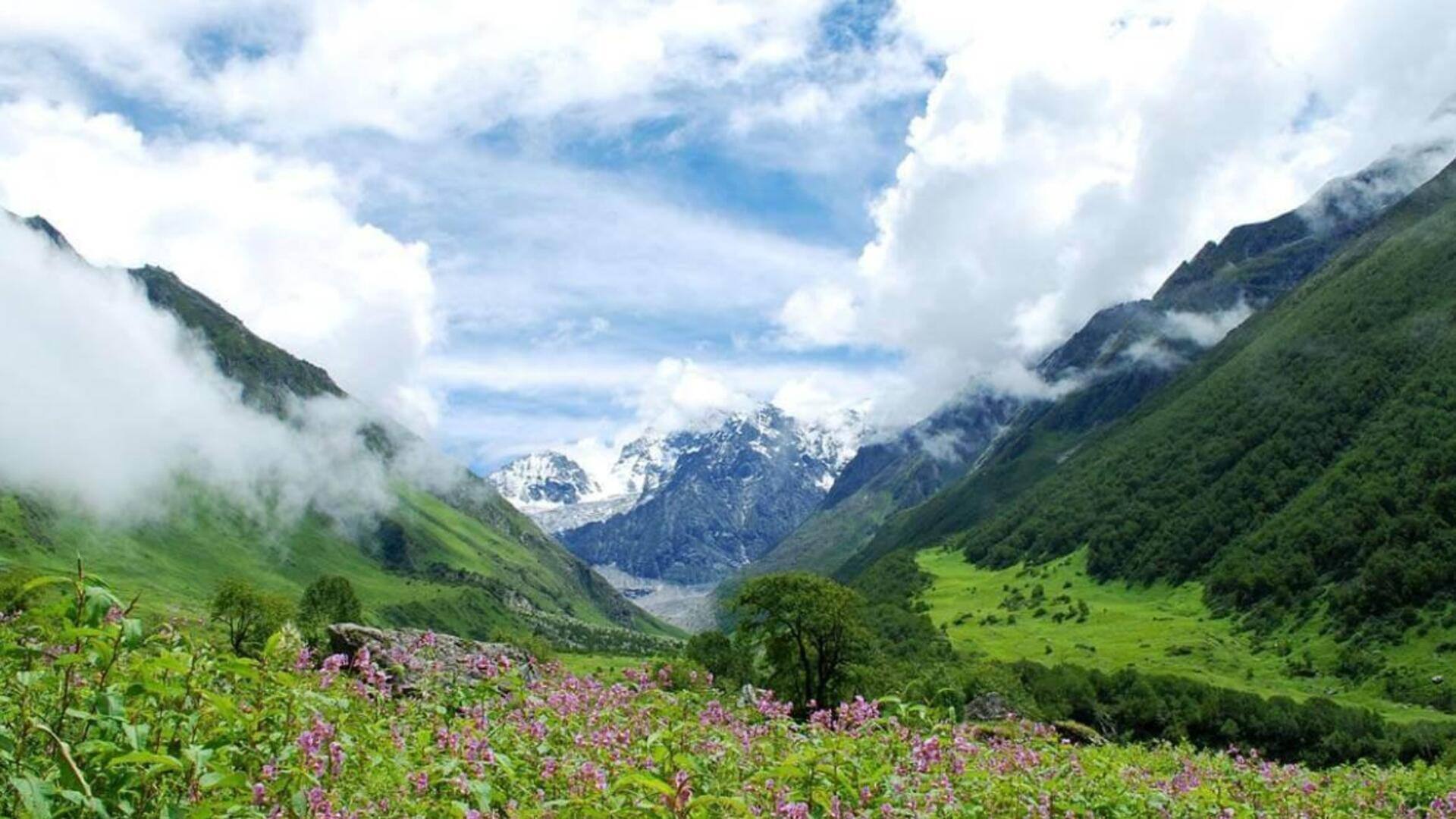 Descubra A Beleza Do Vale Das Flores, Índia