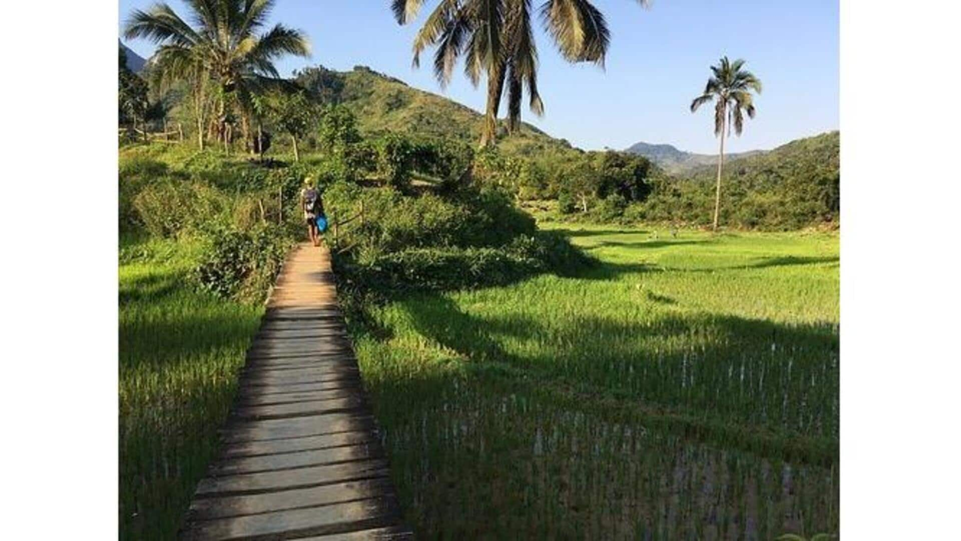 Descubra A Beleza Do Parque Nacional Marojejy, Madagascar