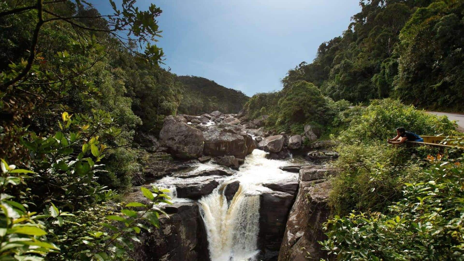 Descubra A Beleza Do Parque Nacional De Ranomafana, Madagascar