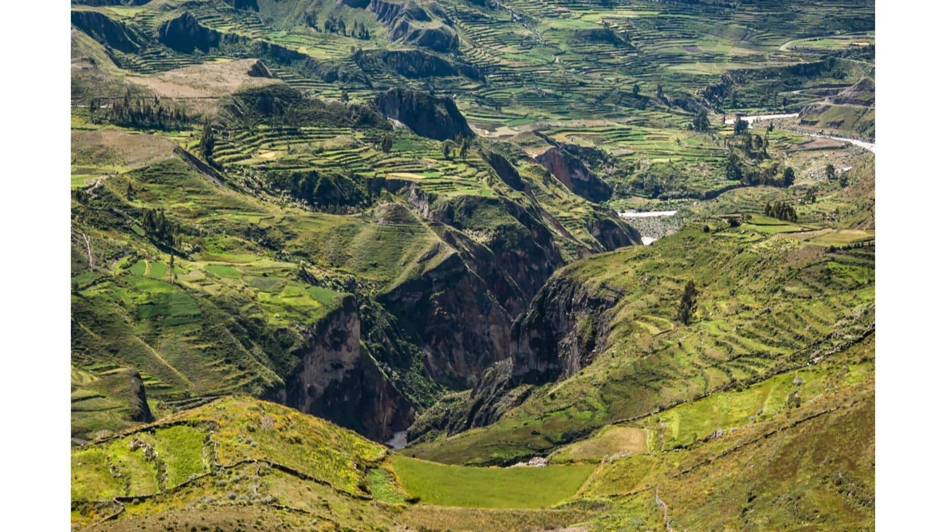 Descubra O Cânion Do Colca, Peru