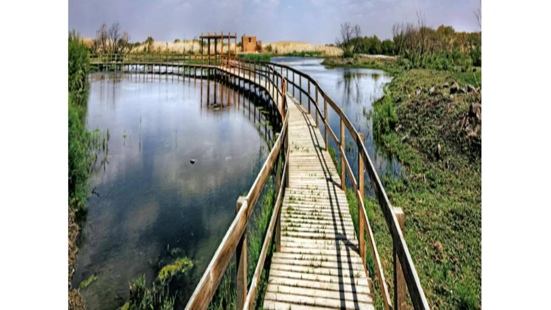 Descubra A Reserva De Azraq Wetland, Jordânia