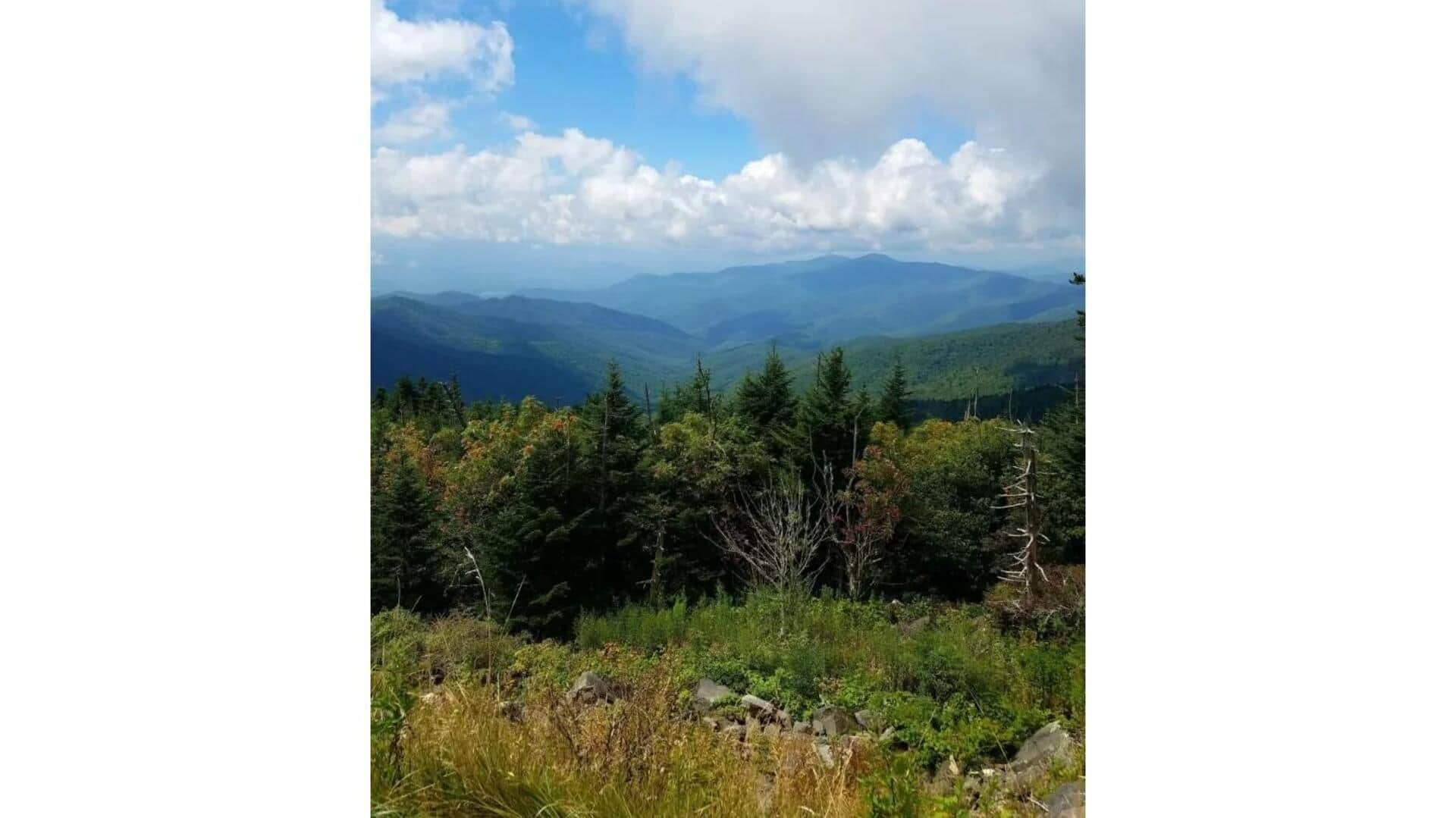 Descubra A Beleza Do Parque Nacional Da Sumava, República Tcheca