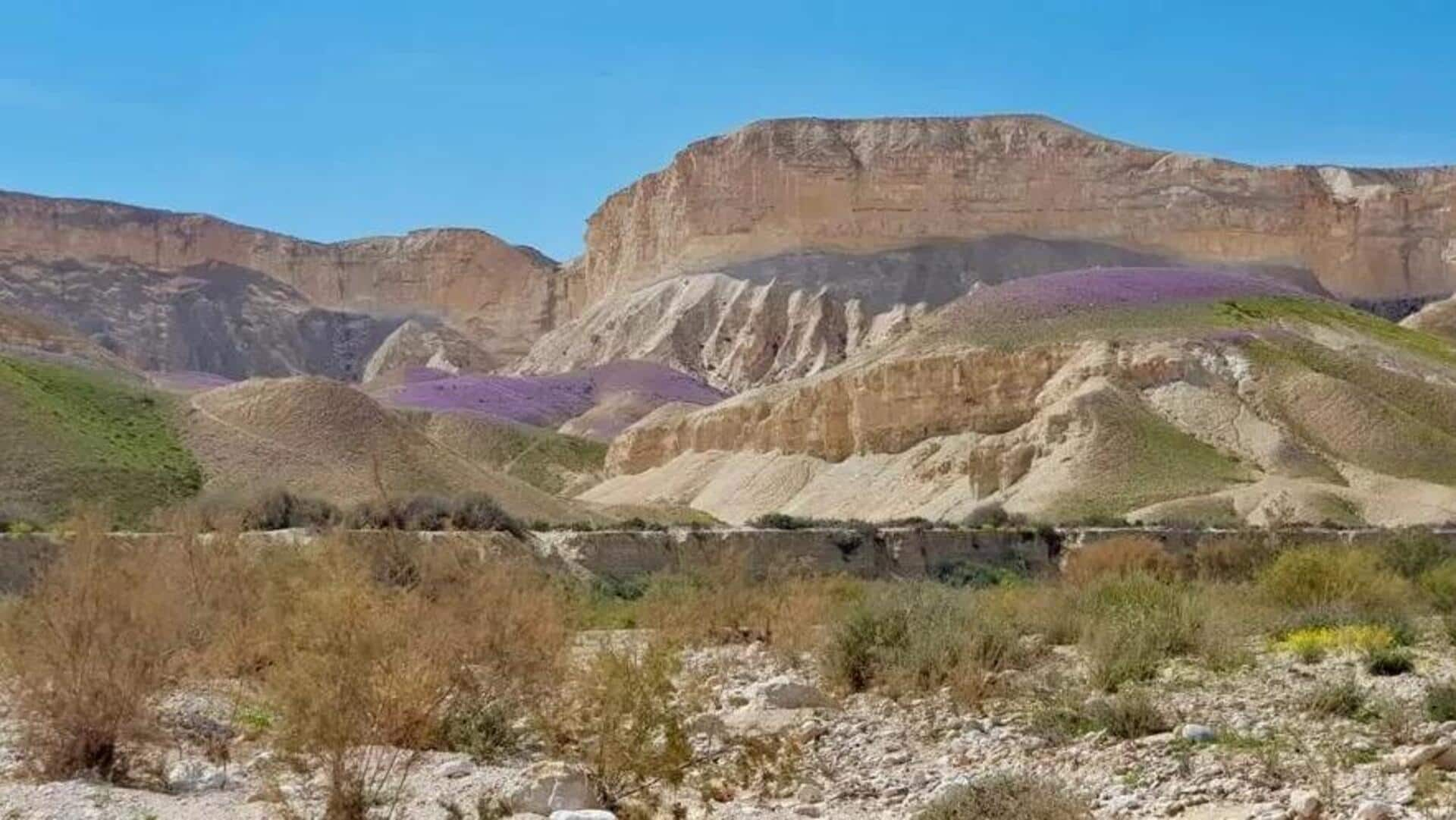 Descubra O Fascínio Do Deserto De Negev, Israel