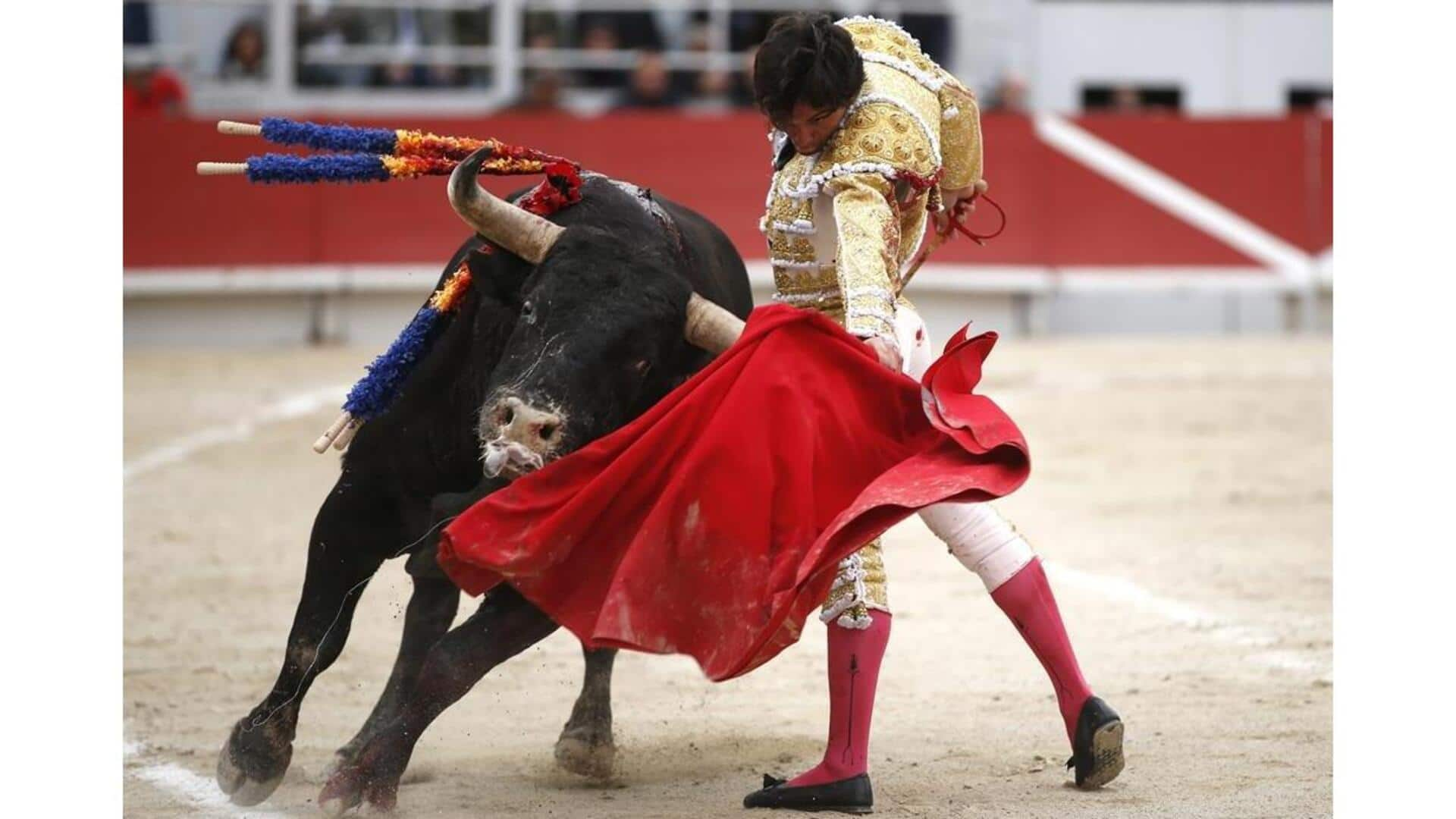 Como Se Vestir Para Uma Tourada Tradicional Portuguesa