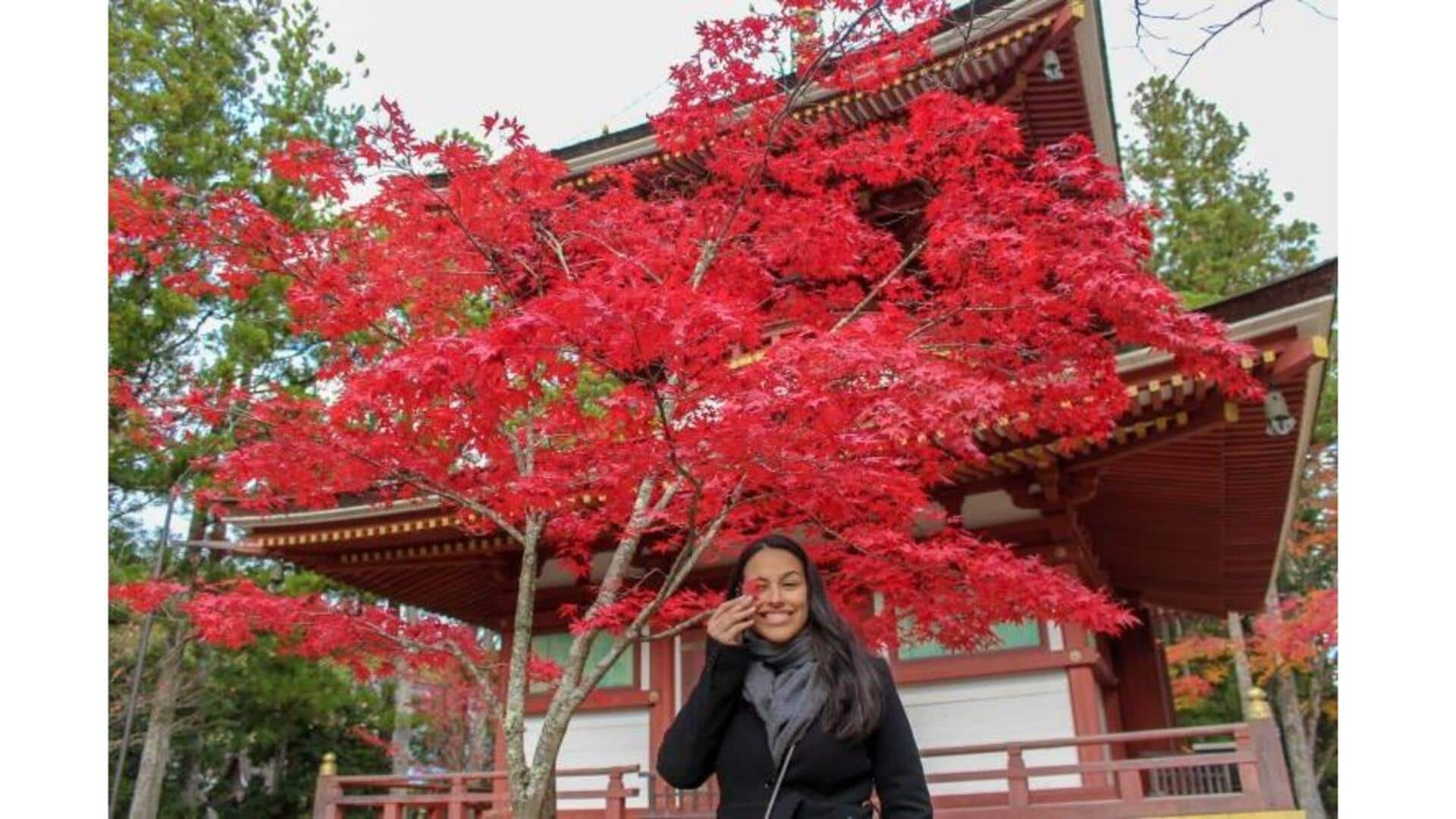 Descubra A Serenidade De Koyasan, Japão