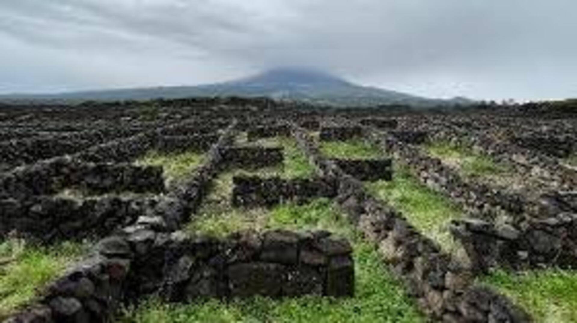 Descubra A Região Vinícola Dos Açores Na Ilha Do Pico