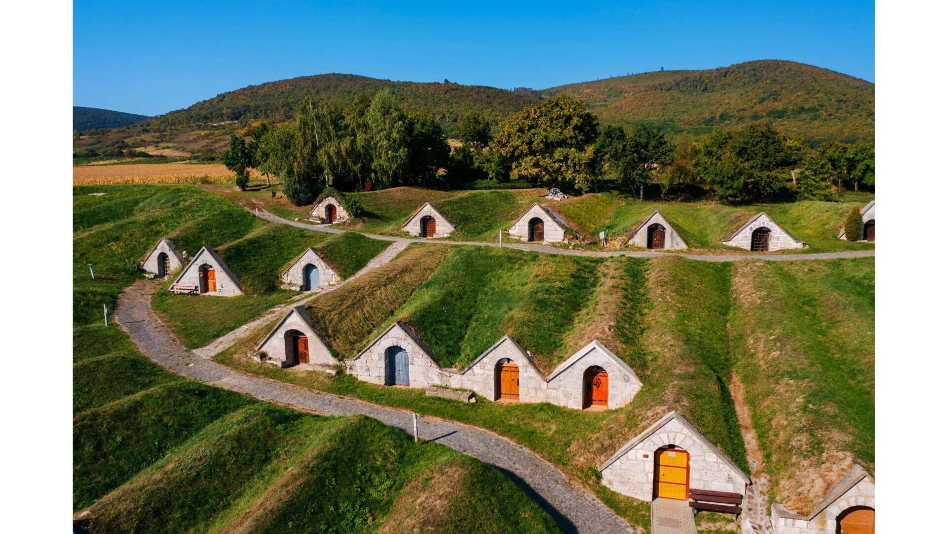 Descubra A Região Vinícola De Tokaj, Hungria