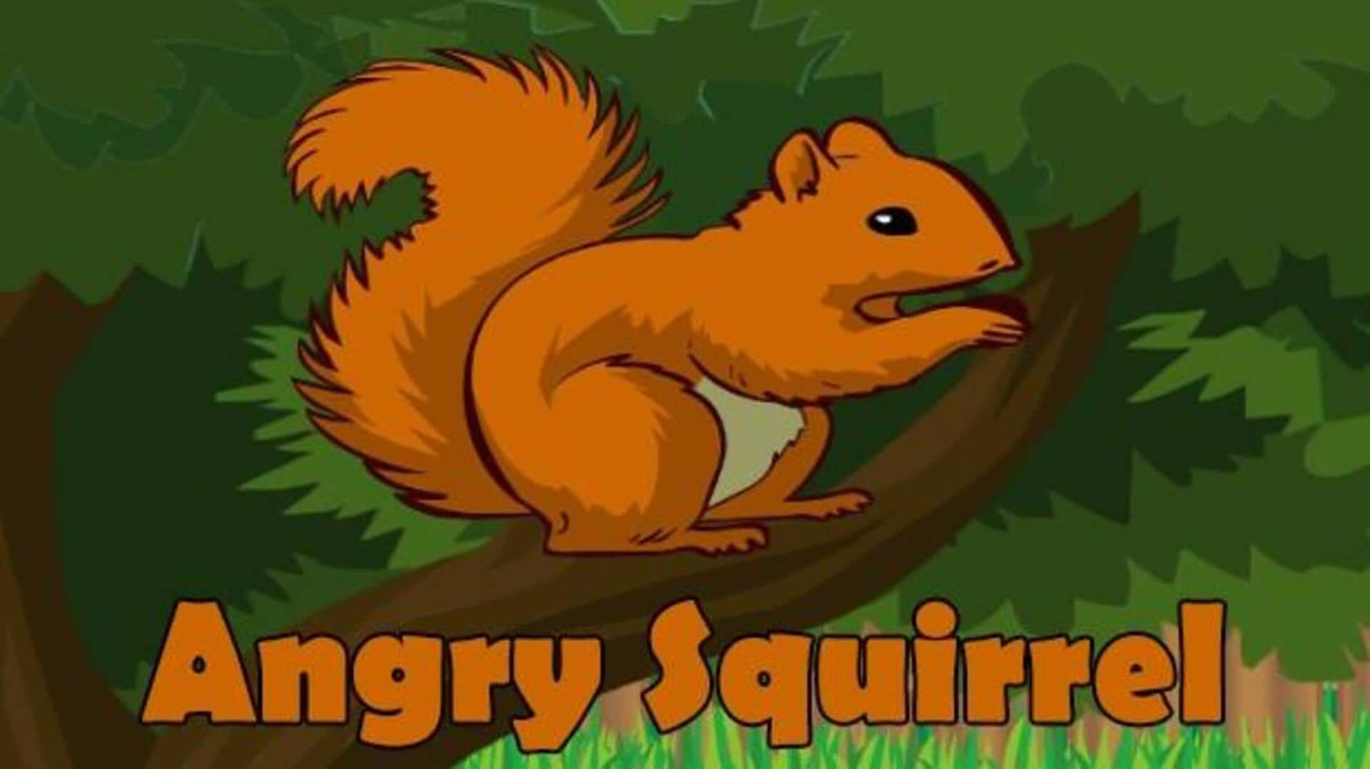 Economize Com Os Recursos Do Squirrel