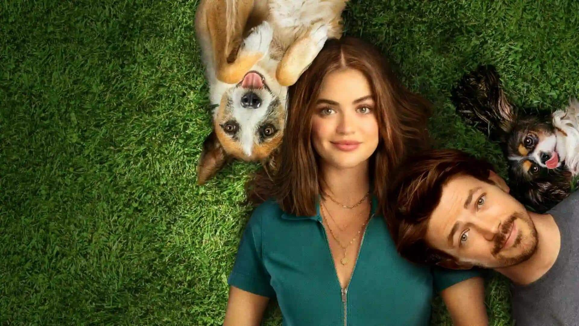 5 Filmes Emocionantes Sobre Cães Para Adolescentes