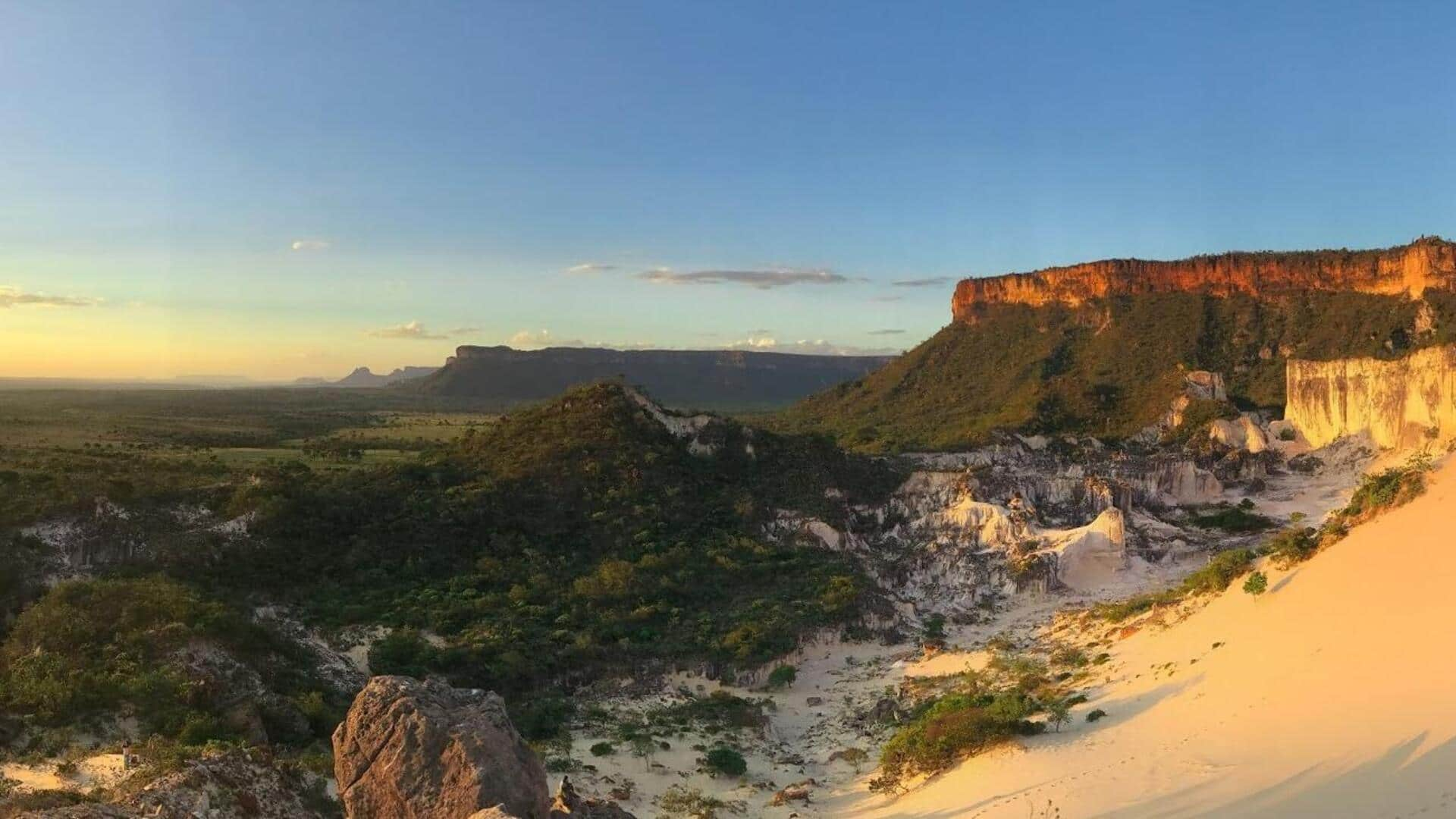 Descubra Os Encantos Dos Bancos De Areia Do Rio Gâmbia