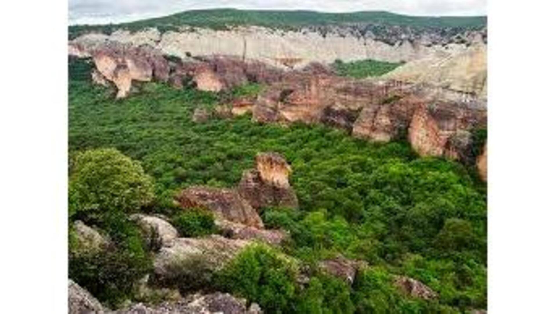 Explore História e Natureza do Parque Nacional Serra da Capivara