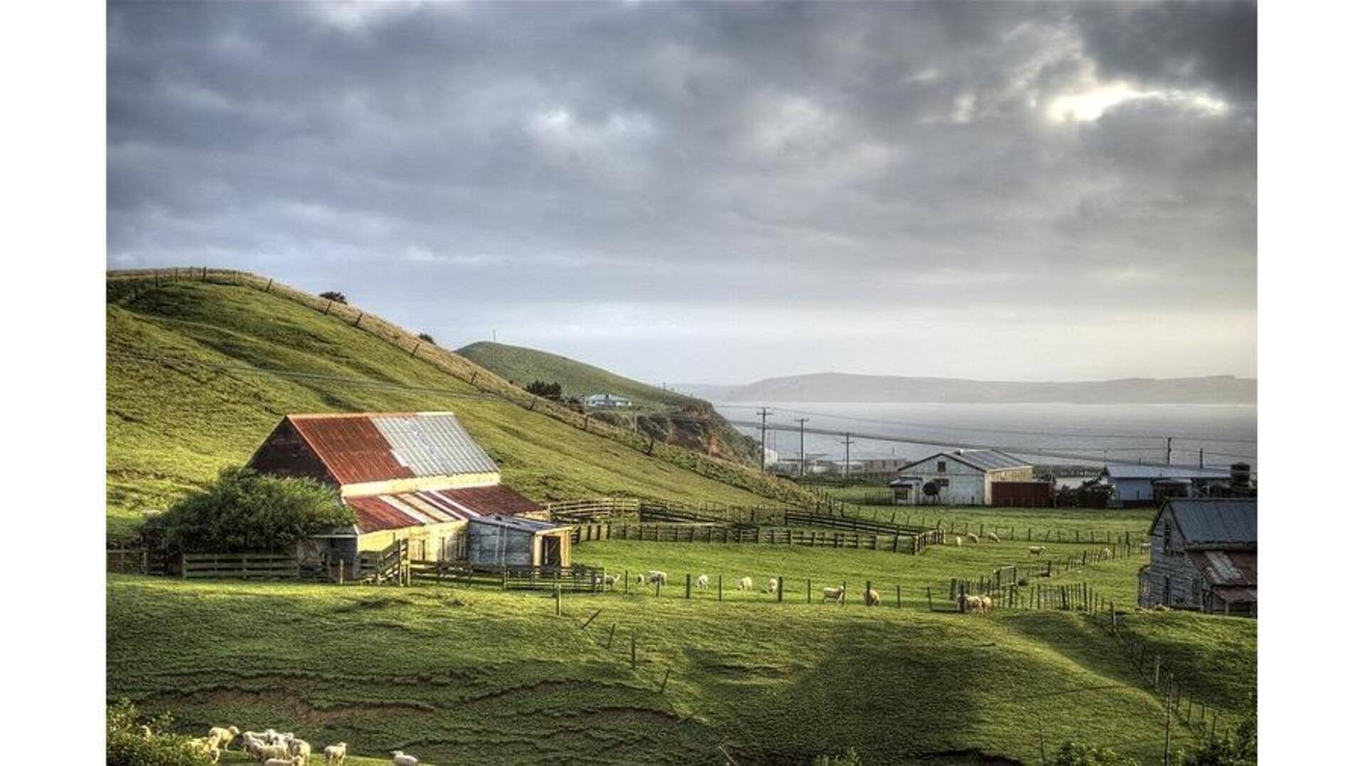 Descubra As Ilhas Chatham, Nova Zelândia: Um Refúgio Natural Único