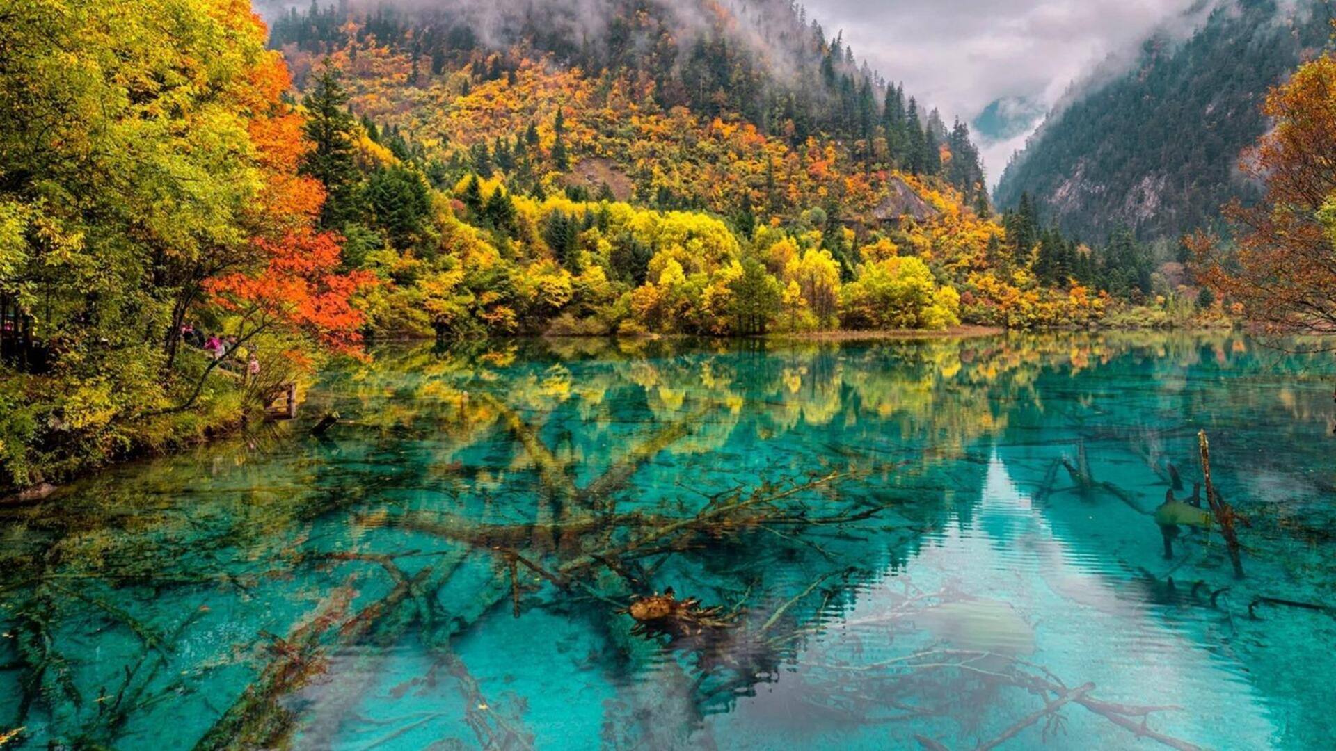 Descubra A Beleza Do Vale De Jiuzhaigou, China