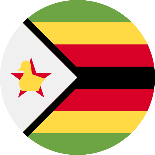 Zimbabwe Innings