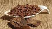 இயற்கையான முறையில் ஆரோக்கியம் பெற ஆப்பிரிக்க மரப்பட்டைகள்: ஒரு முழுமையான வழிகாட்டி
