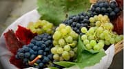 திராட்சை: ஒட்டுமொத்த ஆரோக்கியத்திற்கான ஒரு சூப்பர்ஃபுட்