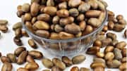 கலபாஷ் நட்மெக்: ஆப்பிரிக்காவின் சுவையான சமையல் ரகசியங்கள்!