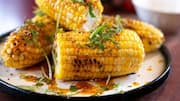 சோளம் பிடிக்குமா? இந்த ரெசிபிகள் உங்களுக்கு ரொம்பப் பிடிக்கும்!