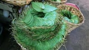 பிரெஷ் வெற்றிலையுடன் இந்த ரெசிபிகளை முயற்சிக்கவும்