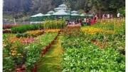 கோடை காலம் காரணமாக ஊட்டி தாவரவியல் பூங்காவில் படப்பிடிப்புக்கு தடை