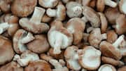 சாகா காளான்கள் (shiitake mushroom) உங்கள் உணவில் ஏன் கட்டாயம் இருக்க வேண்டும்?