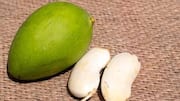 மாம்பழக் கொட்டை: நீங்கள் அவசியம் தெரிந்துகொள்ள வேண்டிய சூப்பர்ஃபுட்!