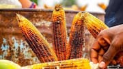 ஆப்பிரிக்காவில் மக்காச்சோளத்தை சுவைக்க 5 வழிகள்