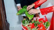 வியட்நாம் திருமண வழக்கம்: வெற்றிலை பாக்கு பழக்கம்!