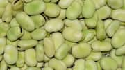 உங்கள் சமையலில் ஆப்பிரிக்க வெண்ணெய் பீன்ஸை எப்படிப் பயன்படுத்தலாம்