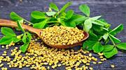 உங்கள் இதய ஆரோக்கியத்திற்கு சிறந்த அருமருந்து வெந்தயம்!